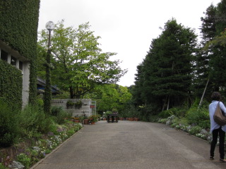 IMG_4850.JPG