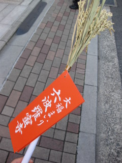 IMG_5063.JPG
