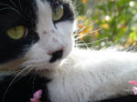 P1000684-1.jpg