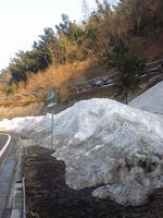110401_4.jpg
