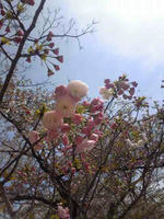 110417_2.jpg