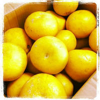 20120217.jpg
