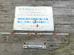 221110-biwako04.jpg