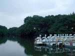 IMGP3794.JPG