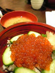 2a3124d0.jpg