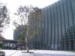 IMGP4032.JPG