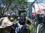 IMGP4126.JPG