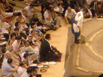 IMGP4194.JPG