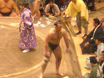 IMGP4198.JPG