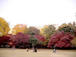 IMGP4302.JPG