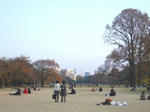 IMGP4311.JPG