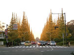 IMGP4405.JPG