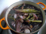 IMGP4412.JPG