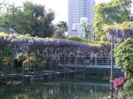 IMGP4660.JPG