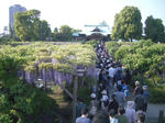 IMGP4663.JPG