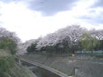 IMGP4555.JPG