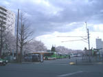 IMGP4569.JPG