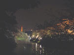 IMGP4639.JPG