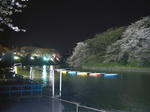 IMGP4649.JPG