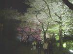 IMGP4655.JPG