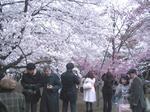 IMGP4591.JPG