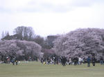 IMGP4594.JPG