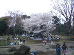 IMGP4581.JPG