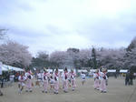 IMGP4584.JPG