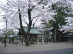 IMGP4576.JPG