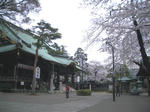 IMGP4577.JPG