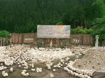 07.jpg