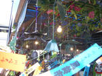 IMGP4718.JPG