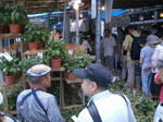 IMGP4723.JPG