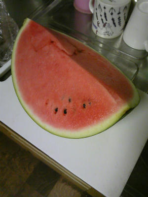 かなりの水分量でした。
