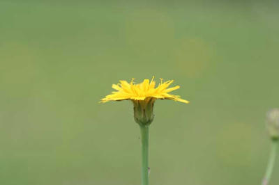 IMG_0001-1.jpg