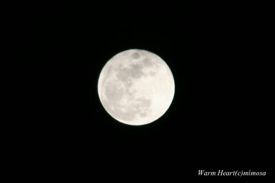 fullmoon080221-31.jpg