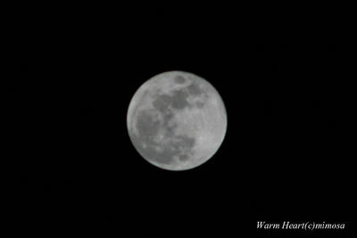 fullmoon080221-61.jpg