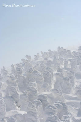 zao03-1.jpg