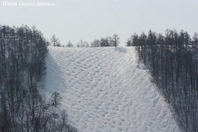 zao09.jpg