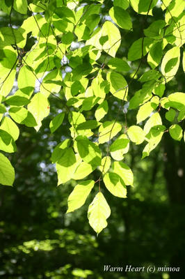 IMG_7626_2w.jpg