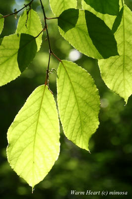 IMG_7627_2w.jpg