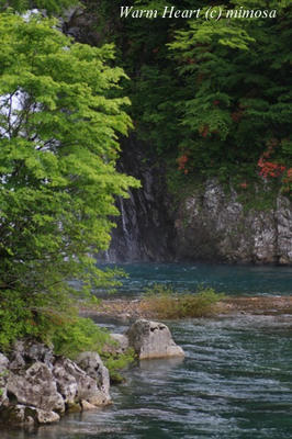 hottainotaaki05_w.jpg