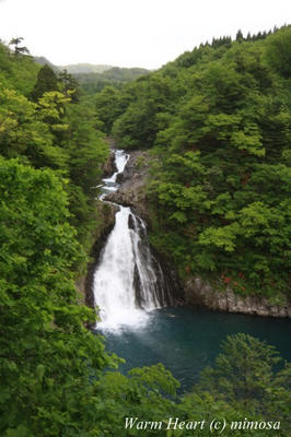 hottainotaaki07_w.jpg