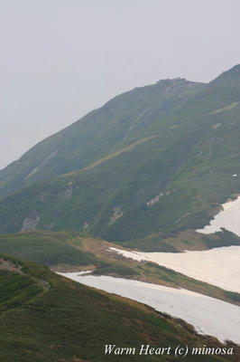 gassann04_w.jpg