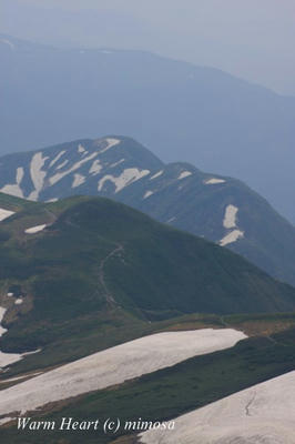 gassann07_w.jpg
