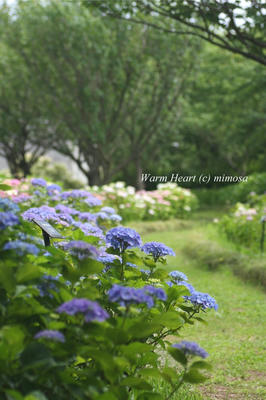 20100629_02W.JPG