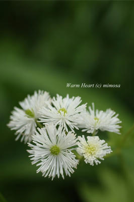 100713_02w.JPG