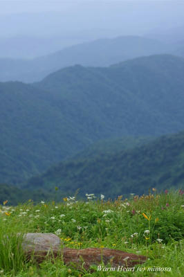 100713_10w.JPG