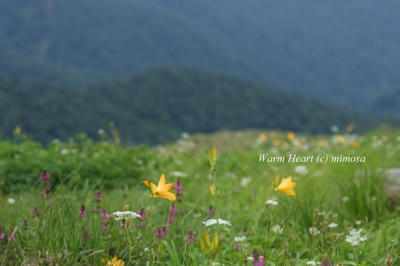 100713_08w.JPG
