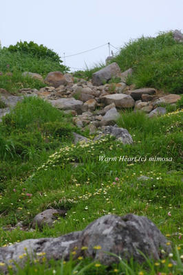 100713_12w.JPG